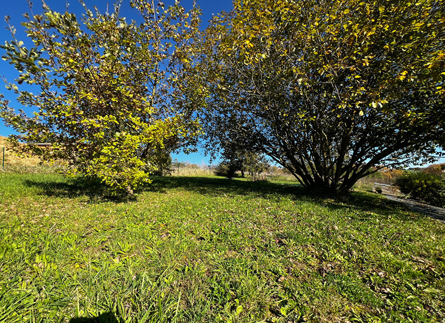 Maison L ISLE EN DODON (31230) 3 pièces 78.00 m²