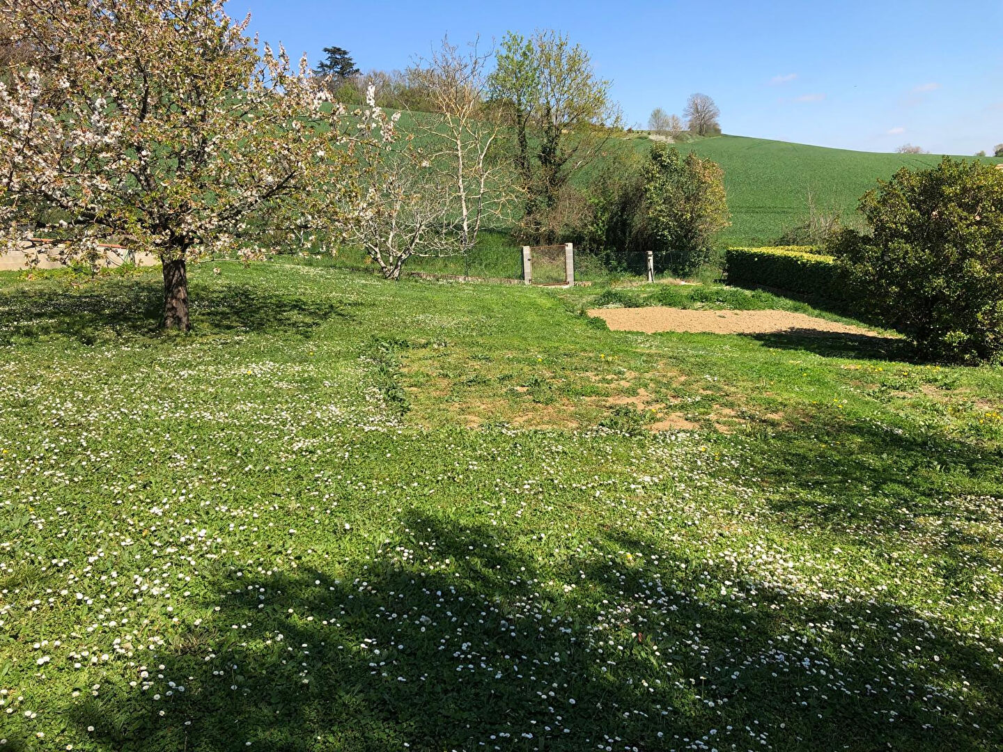 Terrain DREMIL LAFAGE (31280) 730.00 m²