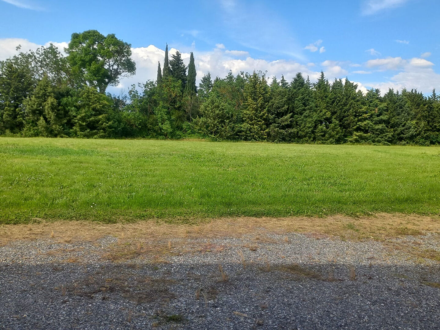Immeuble AVIGNONET LAURAGAIS (31290) 1 pièce 52.00 m²