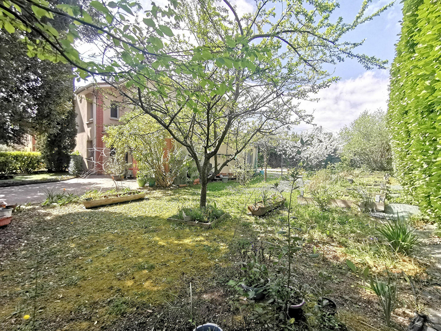 Maison TOULOUSE (31400) 5 pièces 108.00 m²