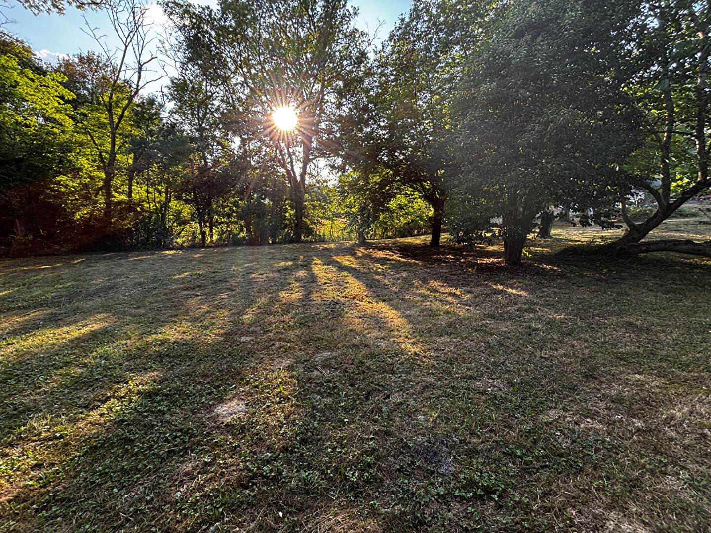 Terrain MIREMONT (31190) 1750.00 m²