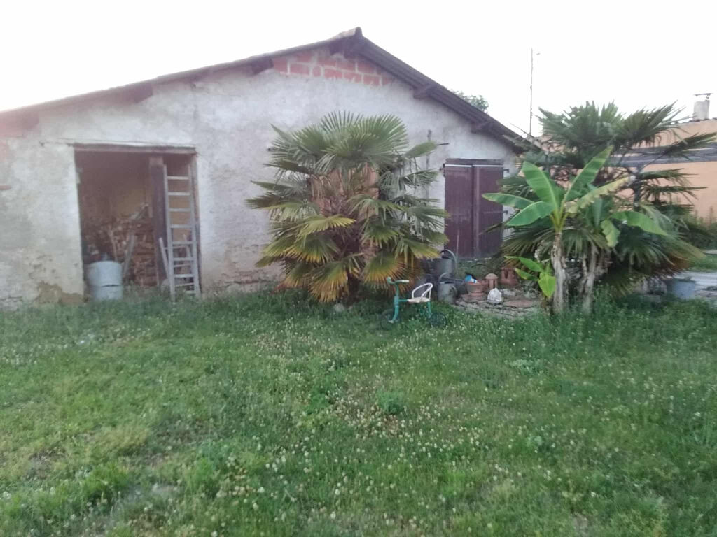 Immeuble CINTEGABELLE (31550) 1 pièce 60.00 m²