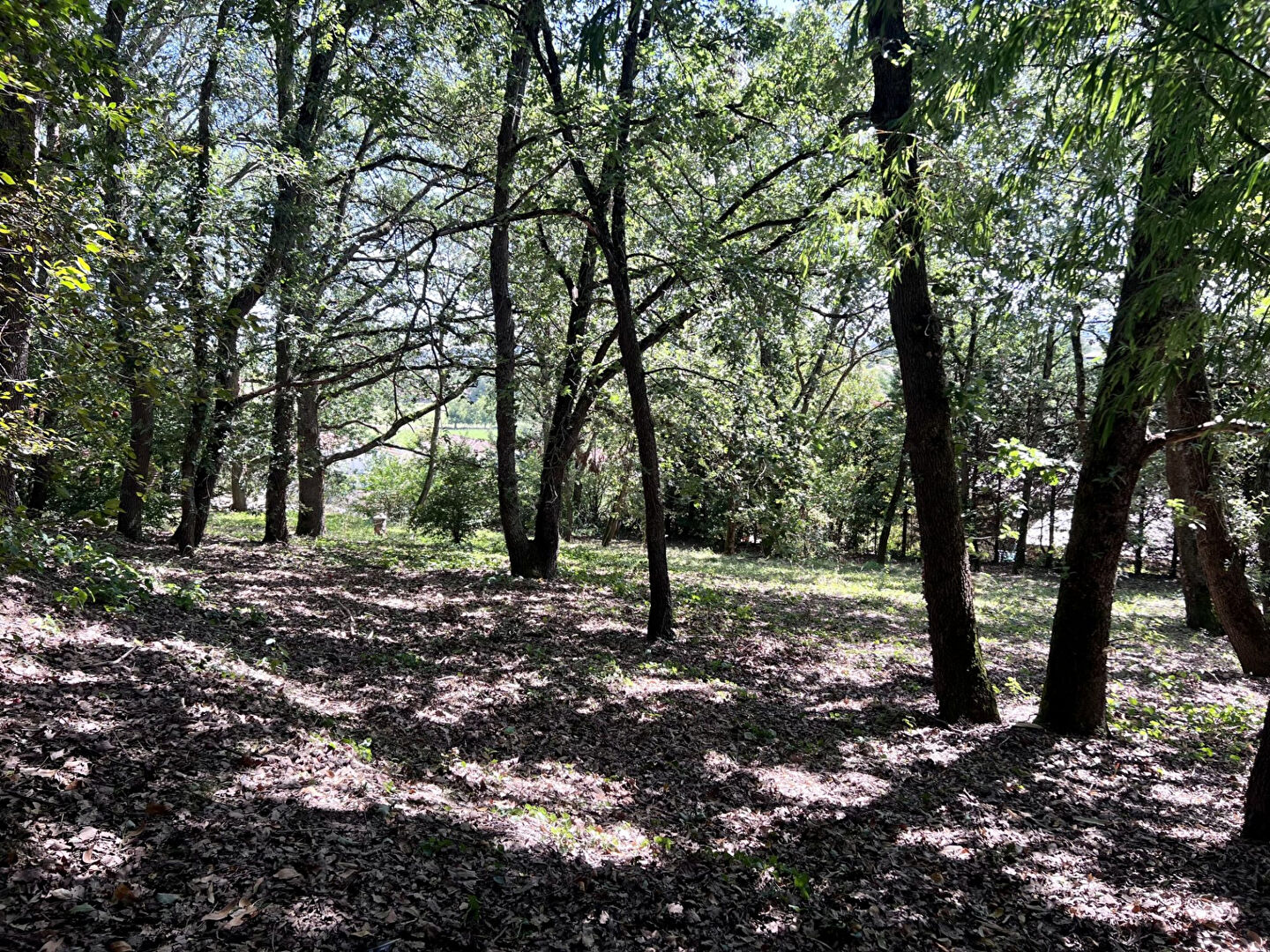 Terrain MIREMONT (31190) 1593.00 m²