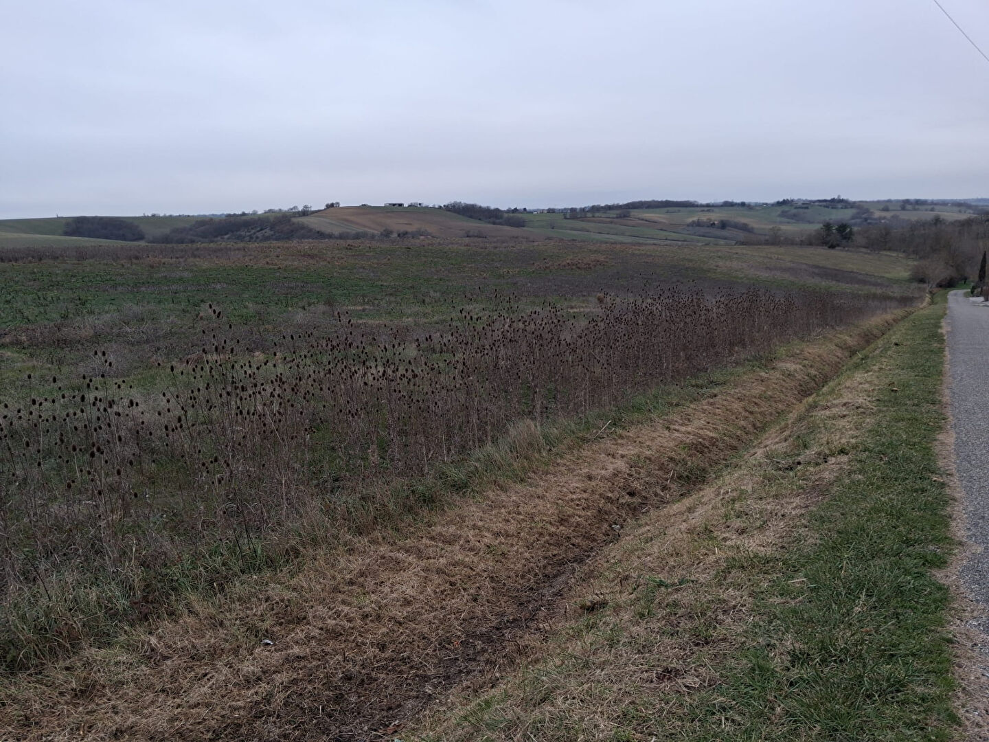 Terrain LE FAGET (31460) 6000.00 m&sup2;