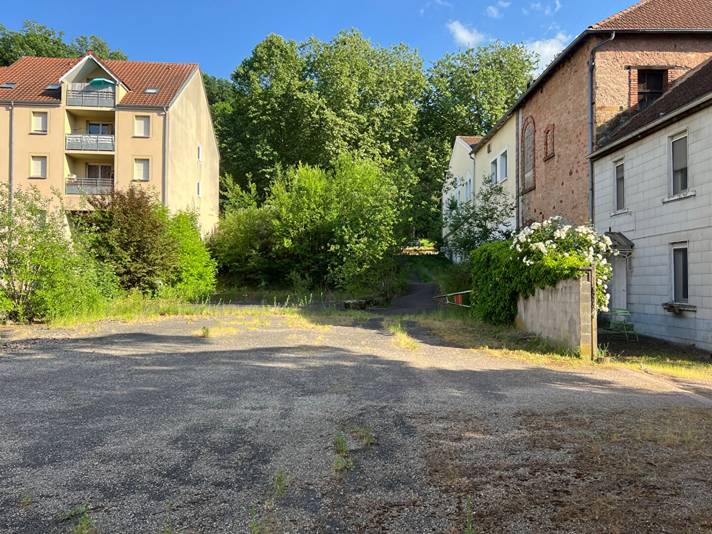 Terrain SAINT AVOLD (57500) 1639.00 m&sup2;
