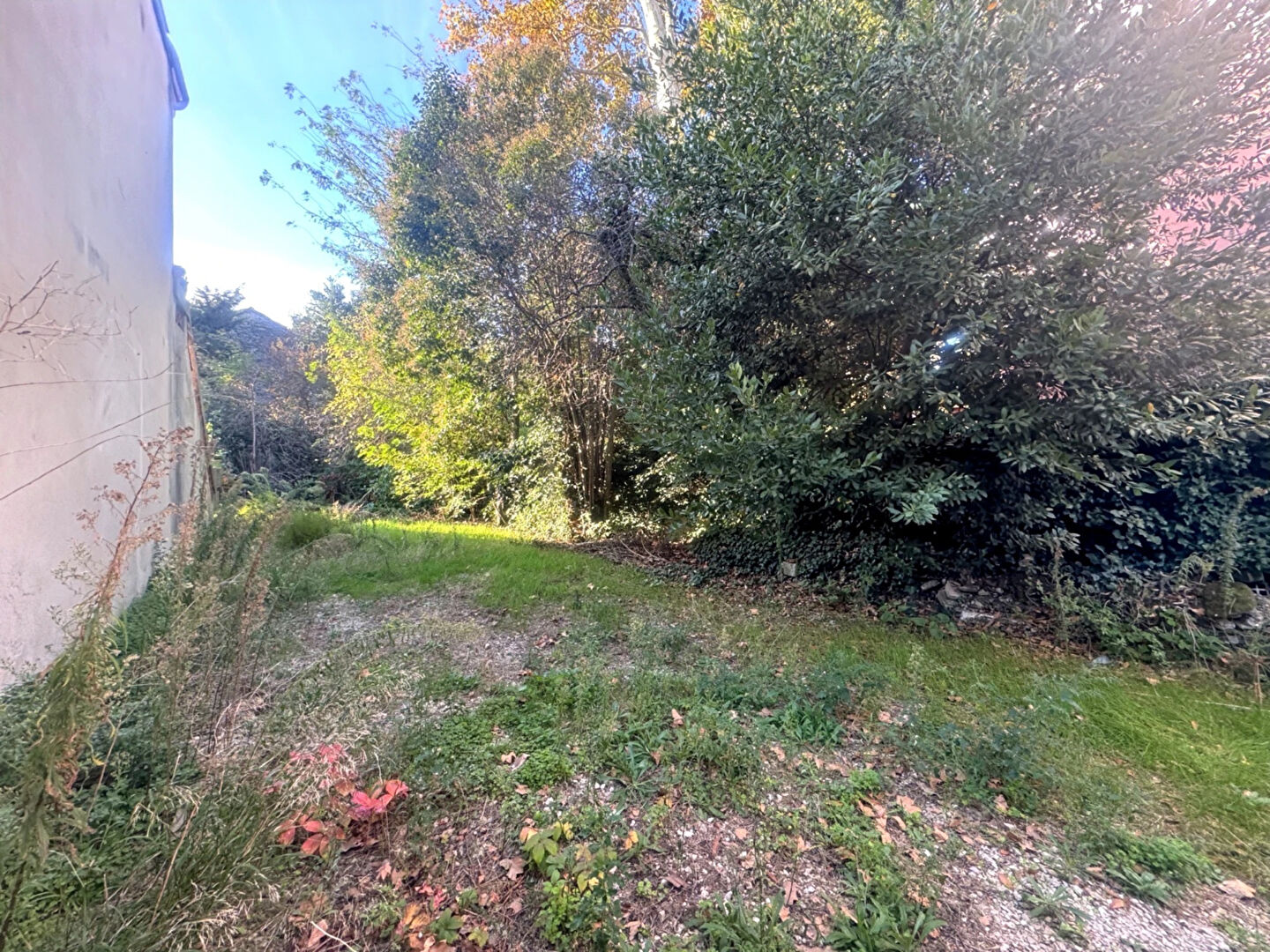 Terrain AVIGNON (84000) 290.00 m²