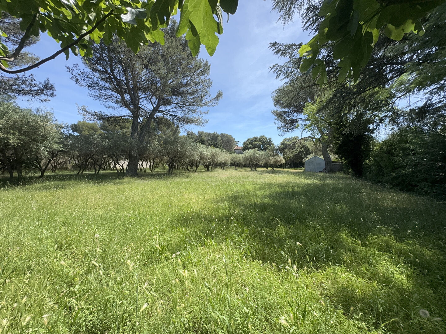 Terrain VILLENEUVE LES AVIGNON (30400) 4170.00 m²