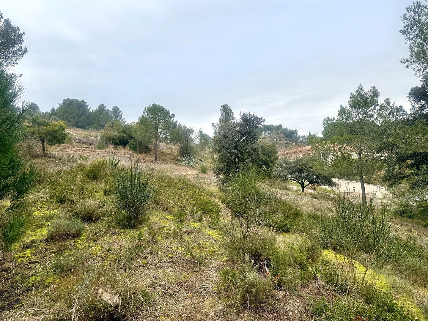 Terrain VILLENEUVE LES AVIGNON (30400) 853.00 m²