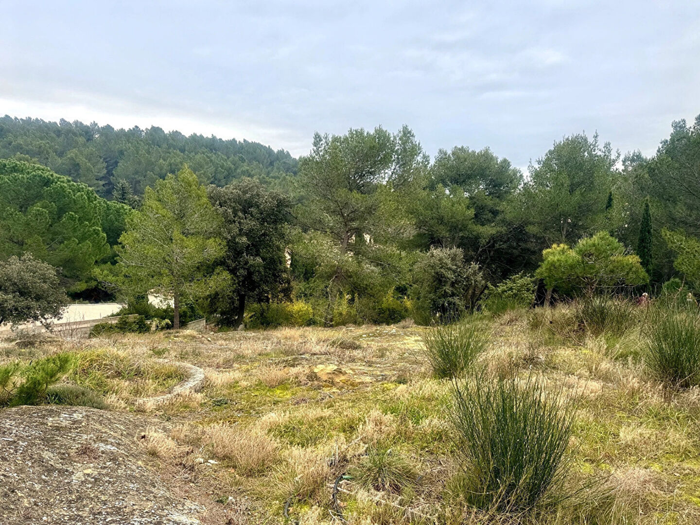 Terrain VILLENEUVE LES AVIGNON (30400) 854.00 m²