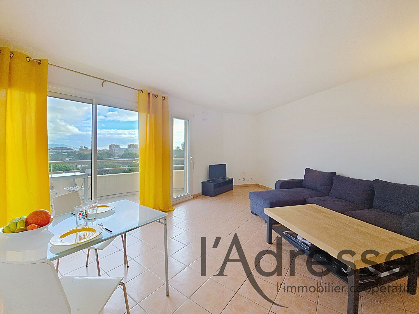 Appartement MANDELIEU LA NAPOULE (06210) 2 pi&egrave;ces 45.00 m&sup2;