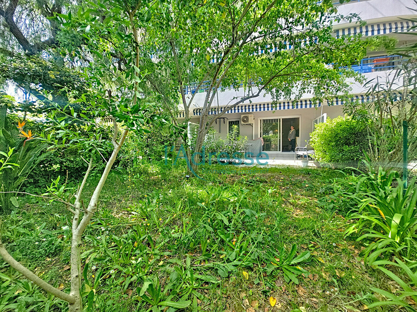 Appartement CANNES (06400) 2 pi&egrave;ces 38.00 m&sup2;