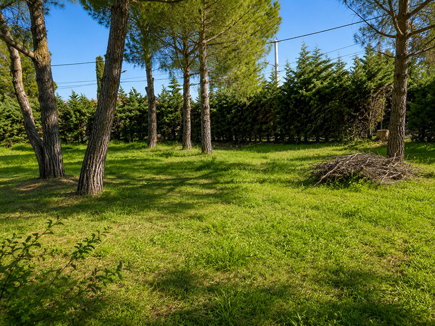 Terrain MONTESQUIEU DES ALBERES (66740) 600.00 m&sup2;