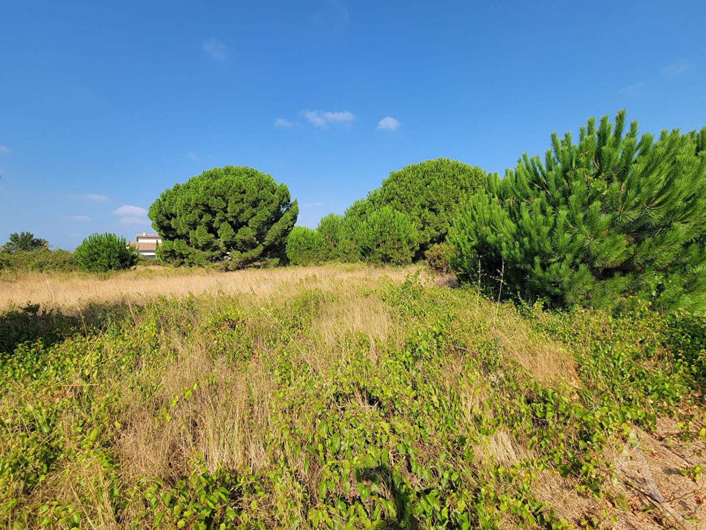 Terrain LATOUR BAS ELNE (66200) 190.00 m&sup2;