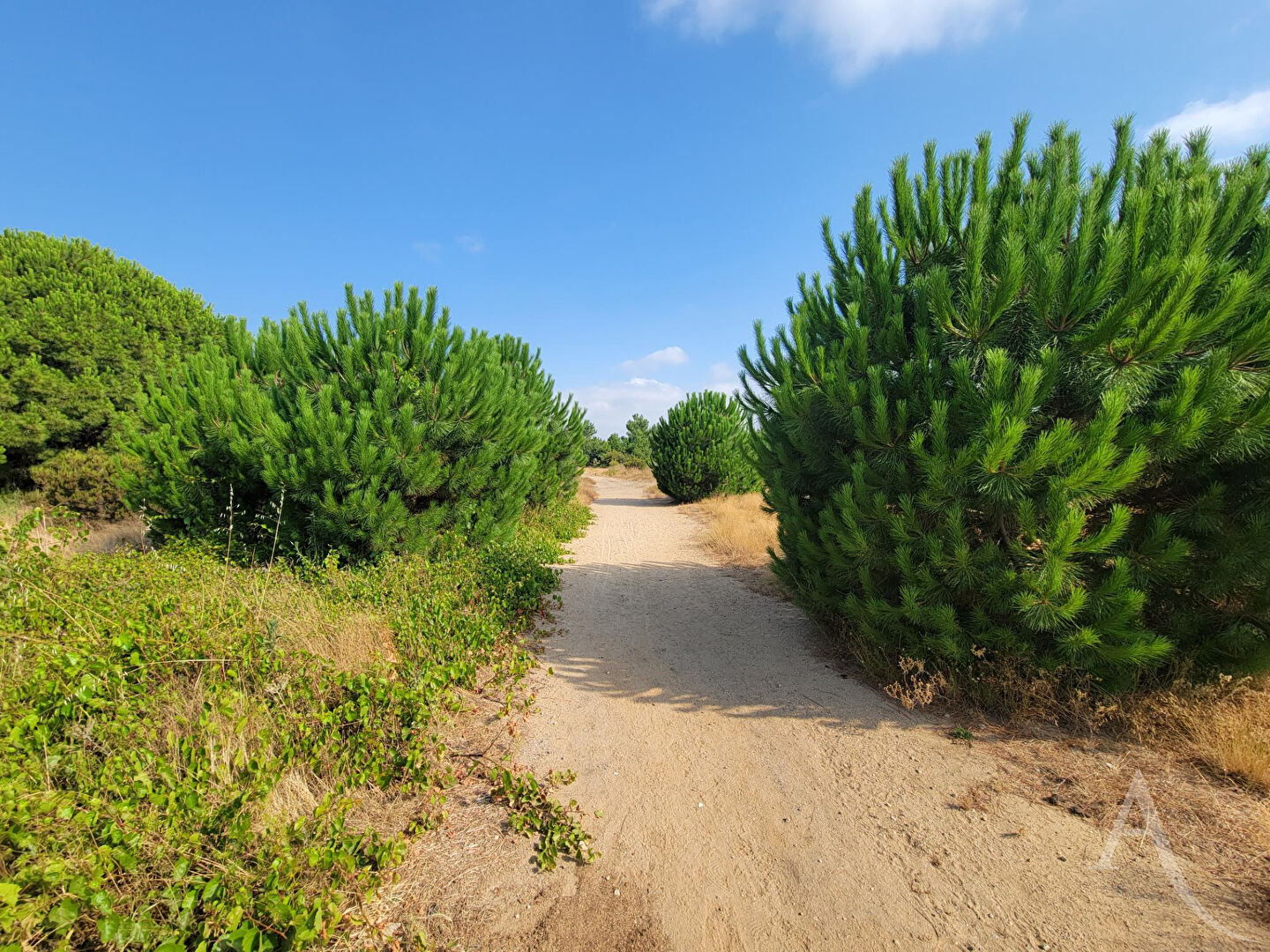 Terrain LATOUR BAS ELNE (66200) 452.00 m&sup2;