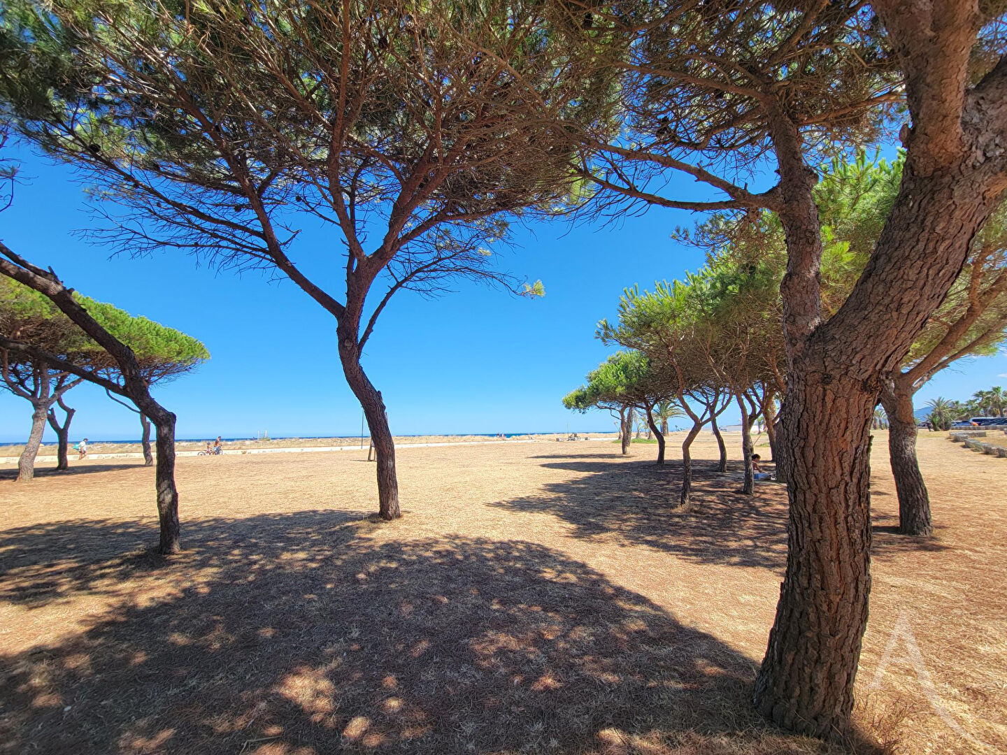 Appartement SAINT CYPRIEN (66750) 2 pi&egrave;ces 45.83 m&sup2;