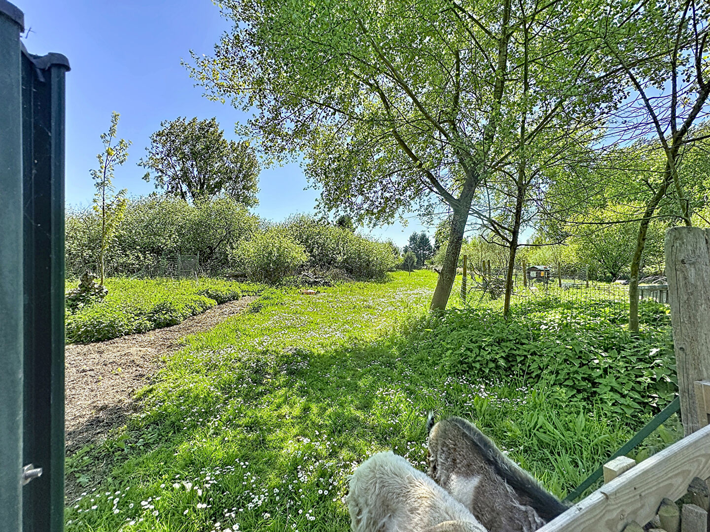 Terrain de loisirs GUINES (62340)