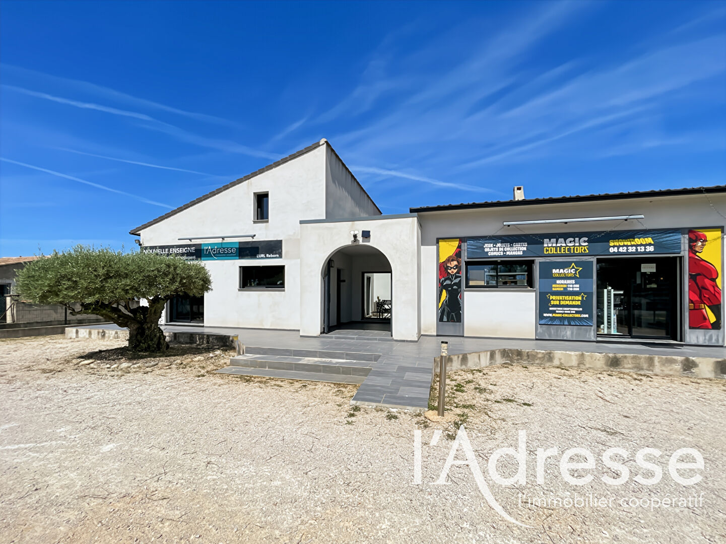 Local commercial AUBAGNE (13400) 8 pi&egrave;ces 250.00 m&sup2;