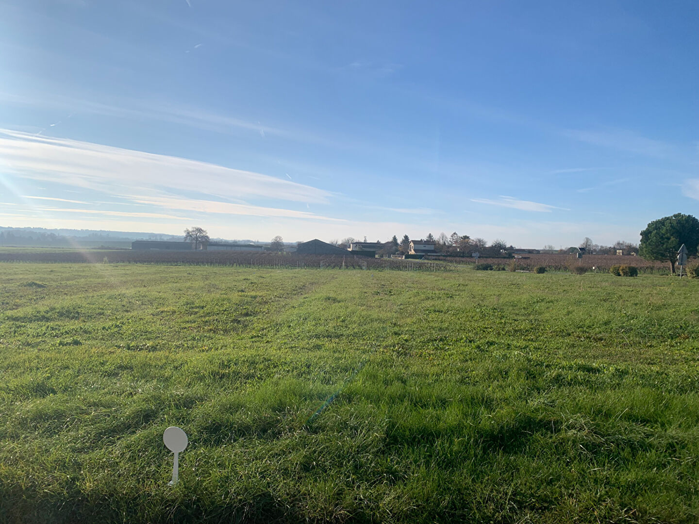 Terrain BRIE SOUS ARCHIAC (17520) 1308.00 m&sup2;