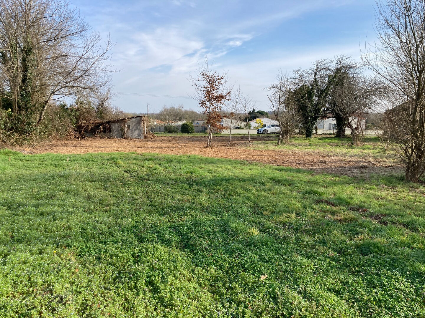 Terrain MOSNAC (17240) 1690.00 m²