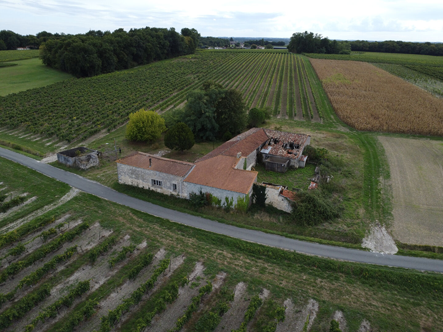Maison SAINT GERMAIN DE LUSIGNAN (17500) 6 pièces 182.00 m²