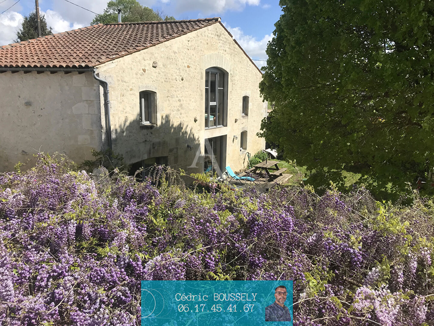 Maison PONS (17800) 15 pièces 600.00 m²