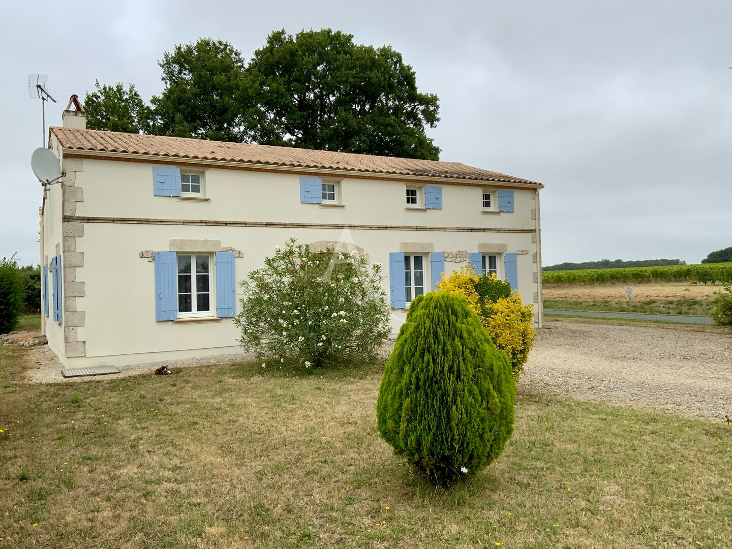 Maison BOIS (17240) 4 pièces 110.00 m²