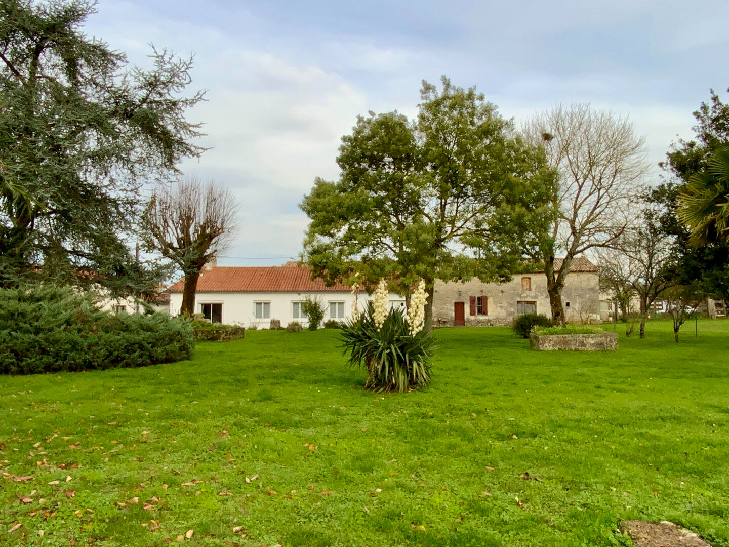 Maison CLION (17240) 4 pièces 106.00 m²