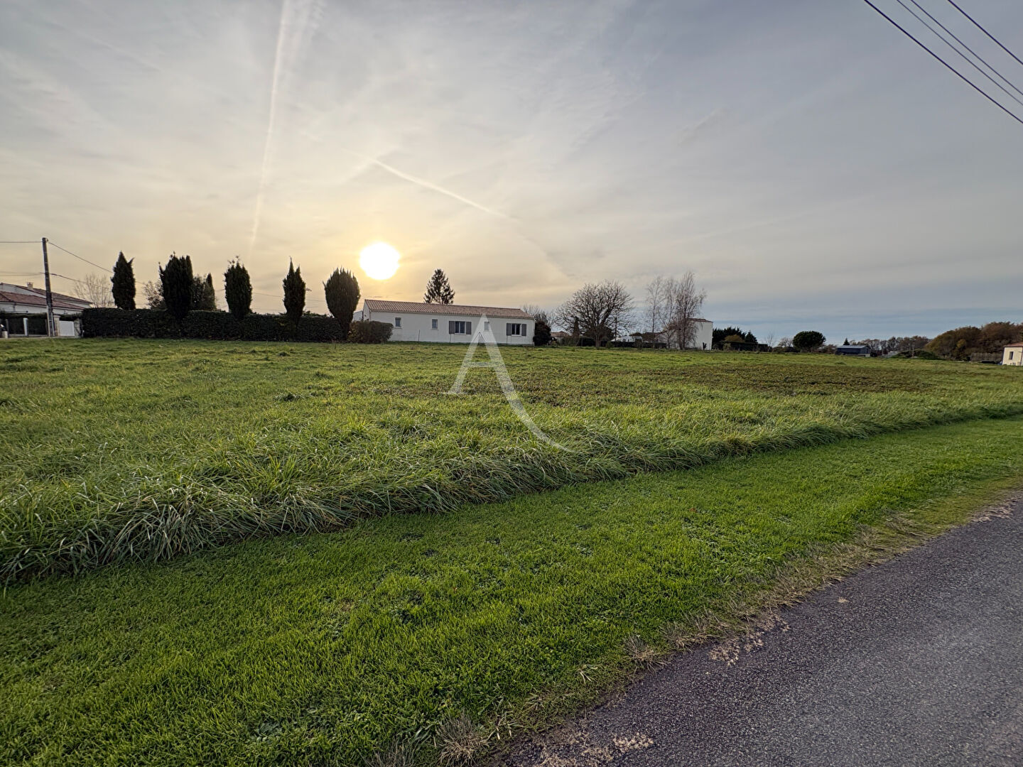 Terrain BOIS (17240) 1144.00 m&sup2;