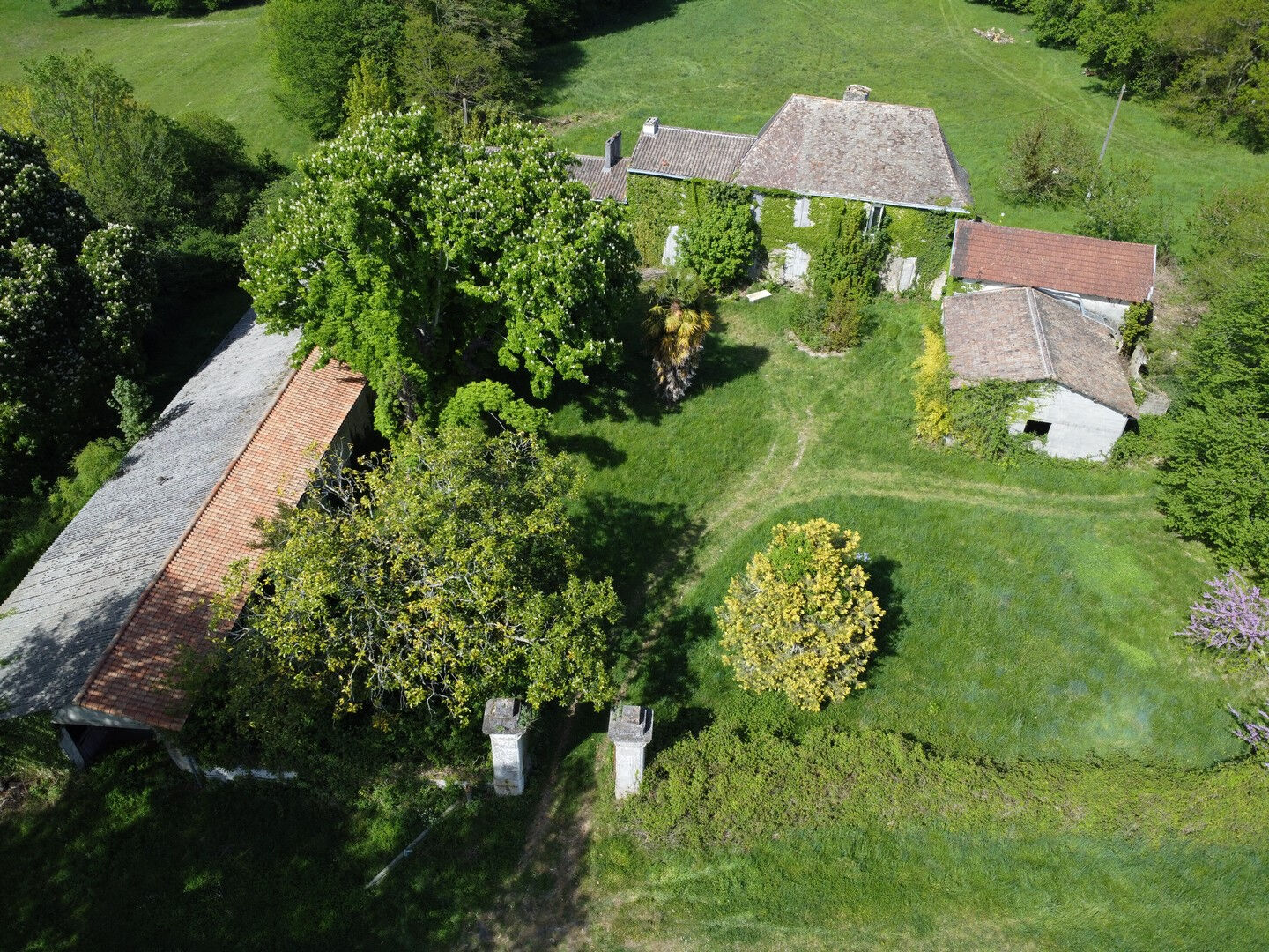 Maison MIRAMBEAU (17150) 10 pi&egrave;ces 400.00 m&sup2;