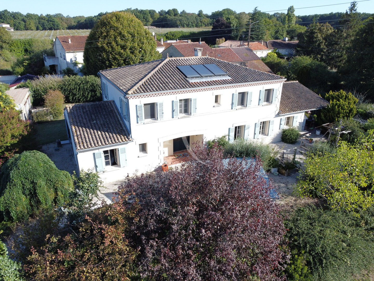 Maison FLEAC SUR SEUGNE (17800) 12 pi&egrave;ces 253.00 m&sup2;