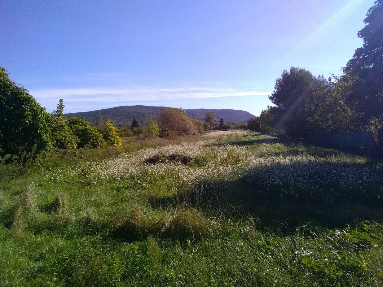 Terrain MONTLAUR (11220) 2940.00 m²