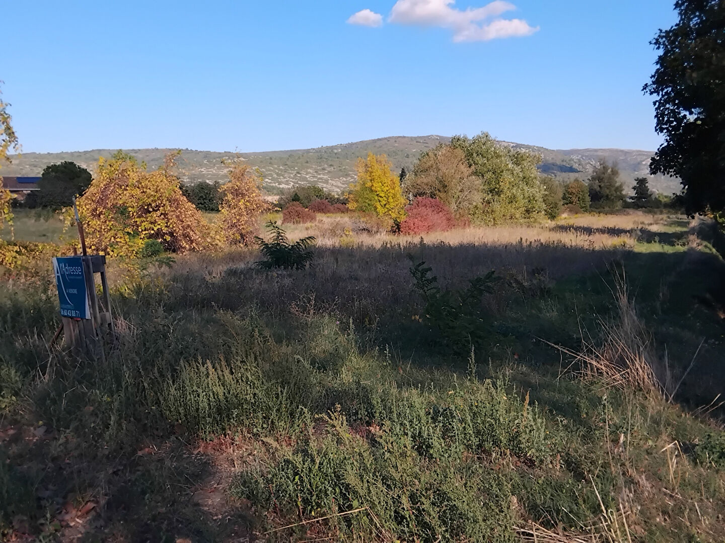 Terrain MONTLAUR (11220) 2940.00 m²