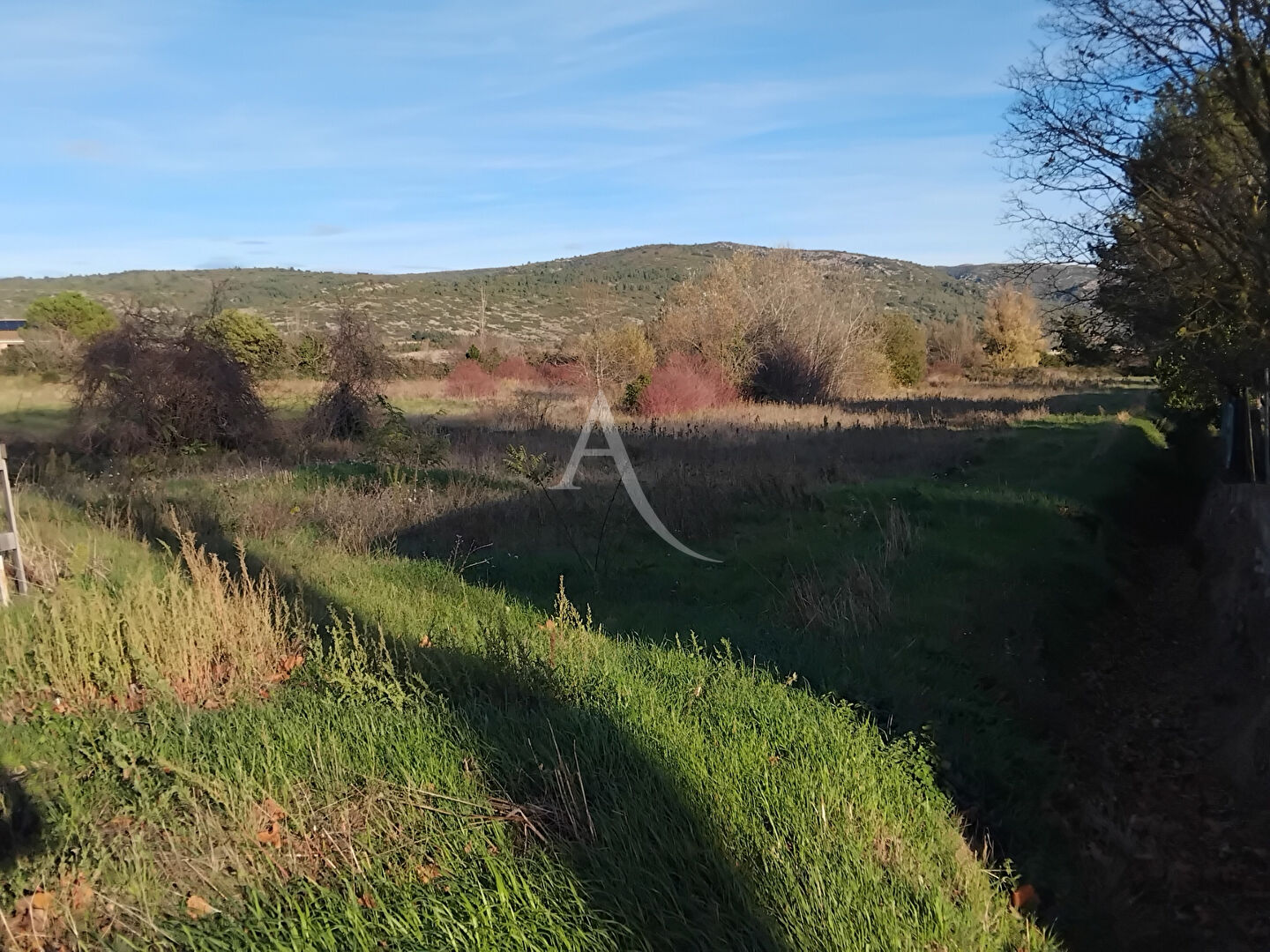 Terrain MONTLAUR (11220) 2940.00 m²