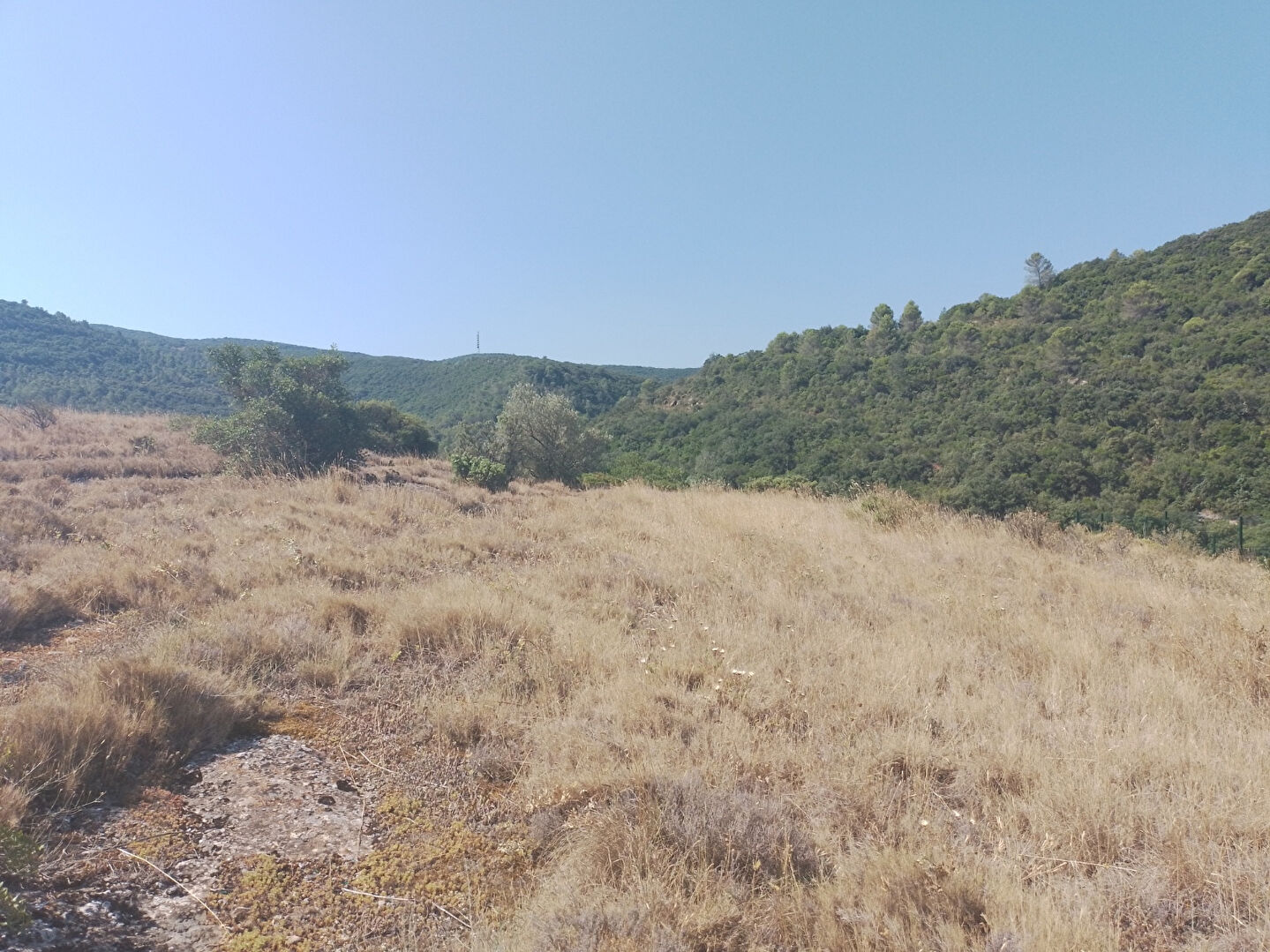 Terrain SAINT MARTIN DES PUITS (11220) 1141.00 m²