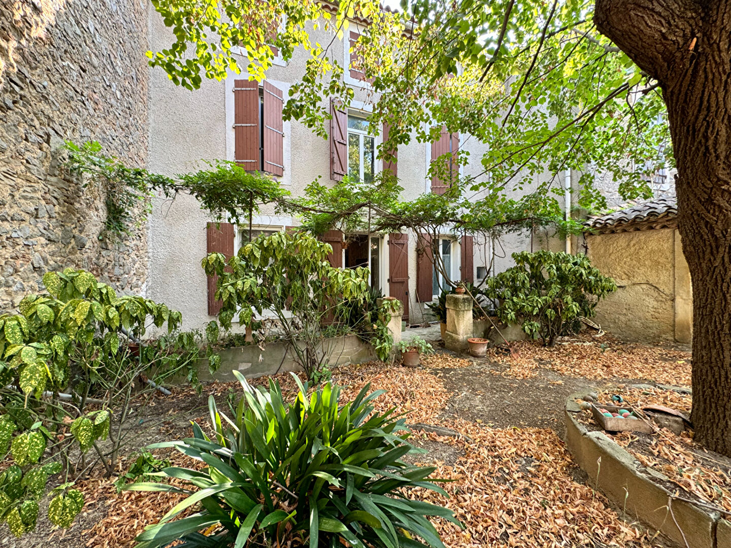 Maison AZILLE (11700) 5 pièces 178.00 m²