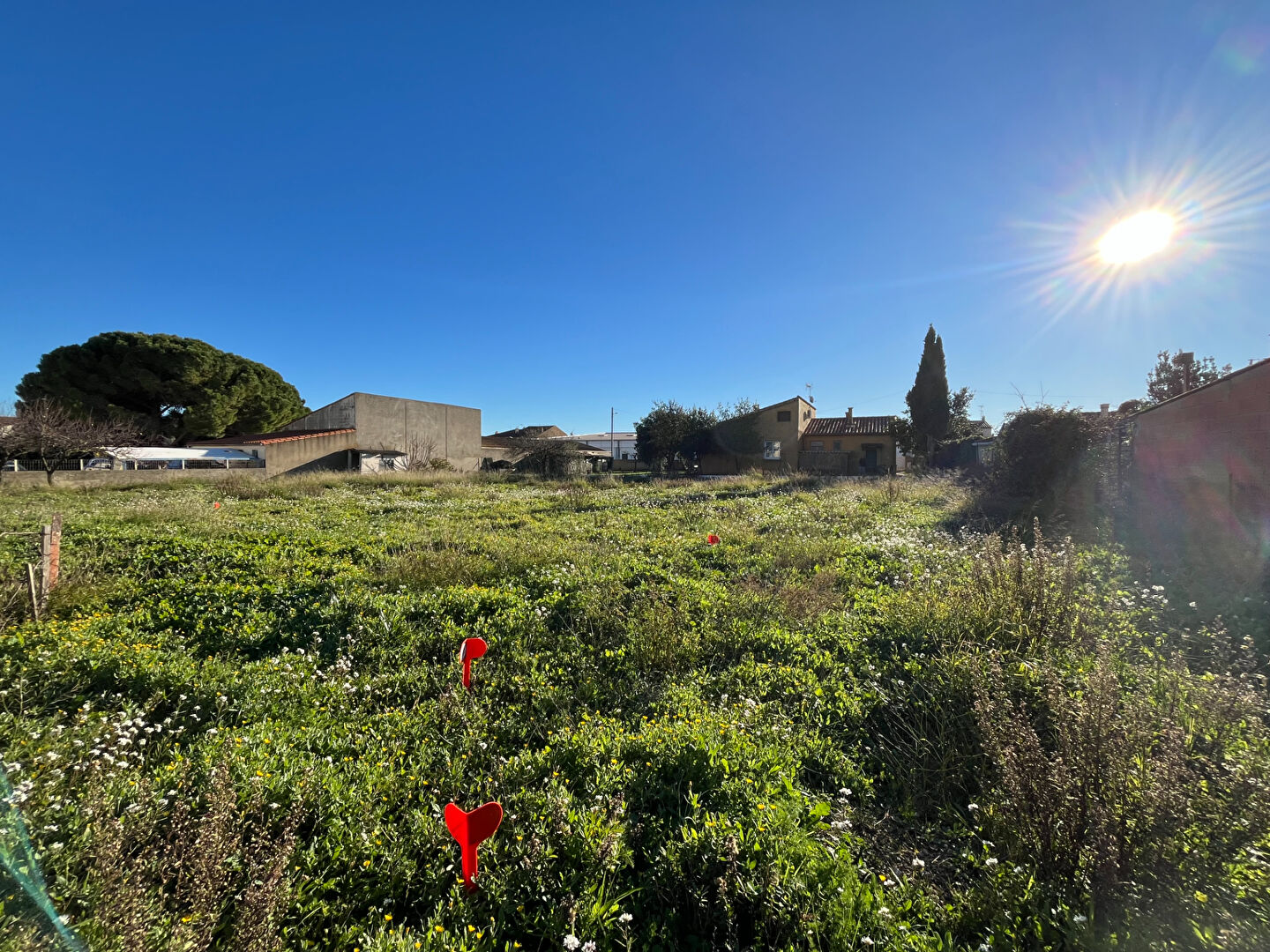 Terrain LEZIGNAN CORBIERES (11200) 531.00 m²