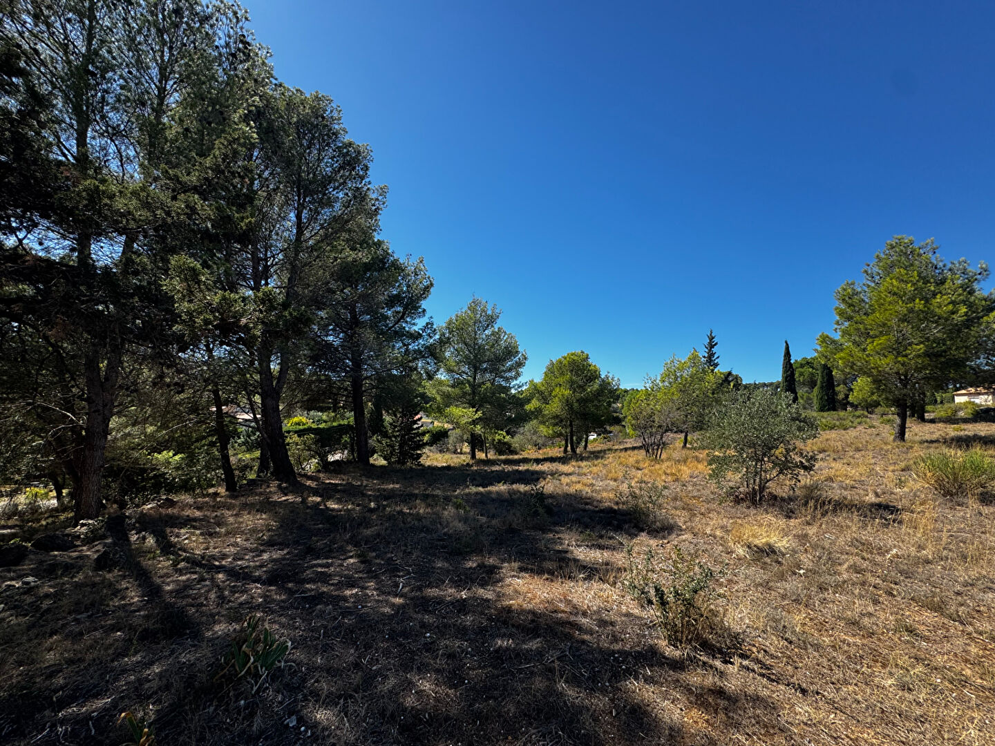 Terrain LEZIGNAN CORBIERES (11200) 971.00 m²