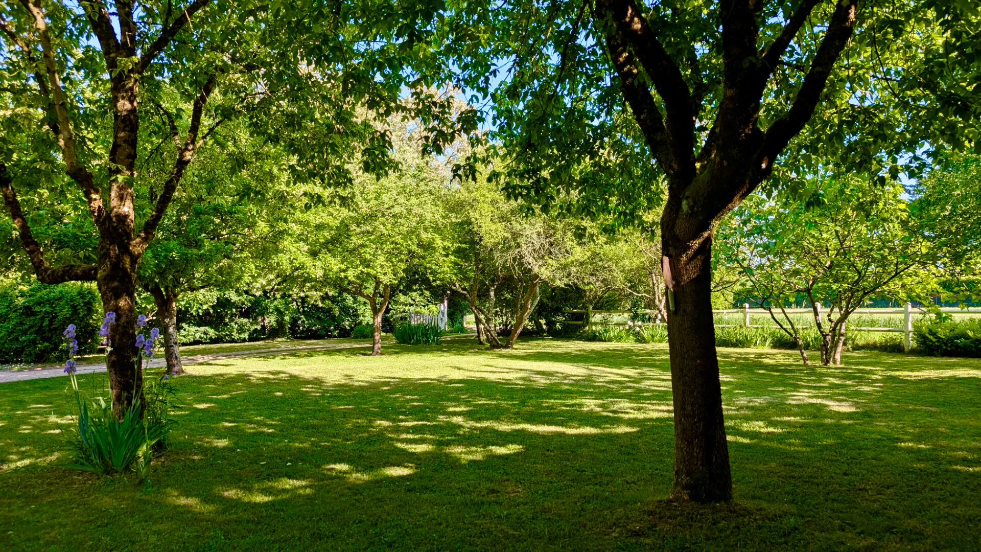 Maison ROCHECORBON (37210) 6 pièces 143.03 m²