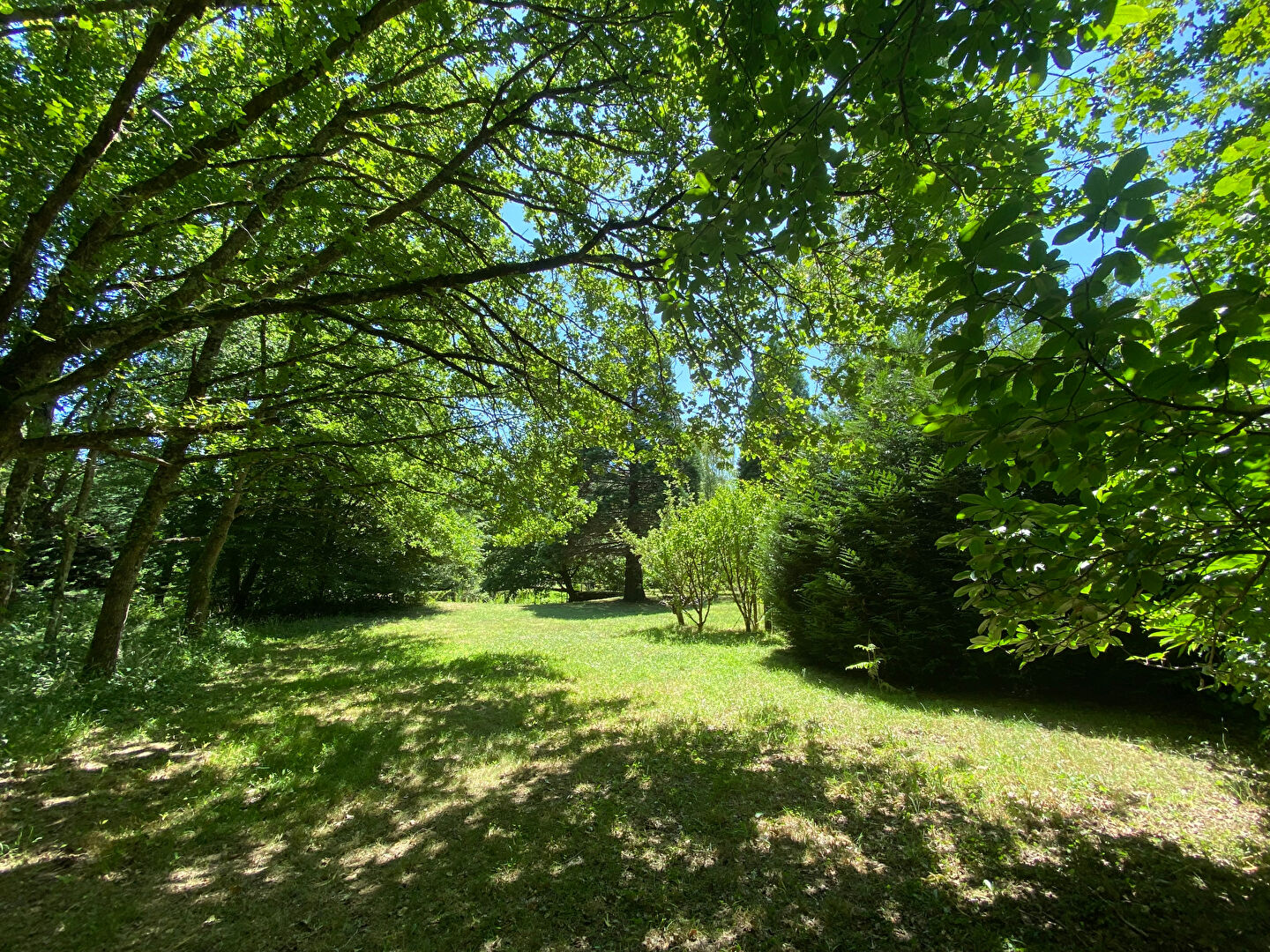 Terrain VITRY AUX LOGES (45530) 14391.00 m²