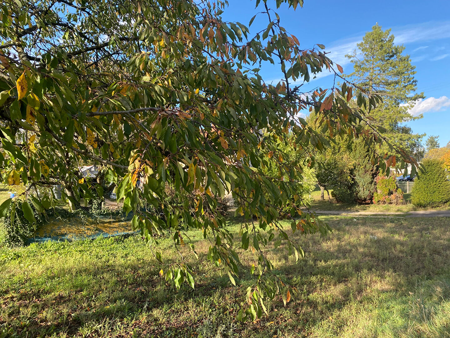 Terrain FAY AUX LOGES (45450) 476.00 m²