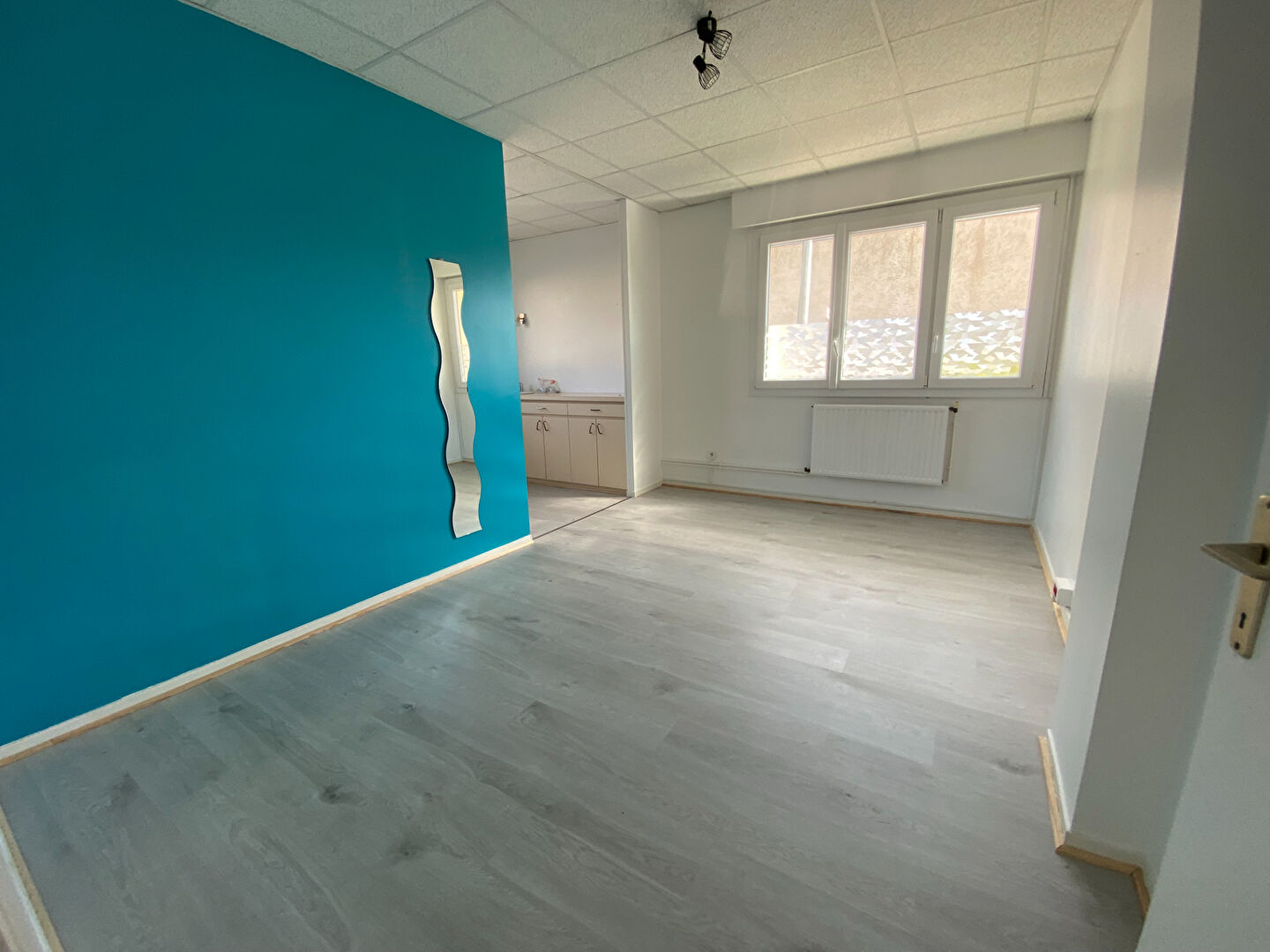 Local d'activité MONTARGIS (45200) 179.54 m²