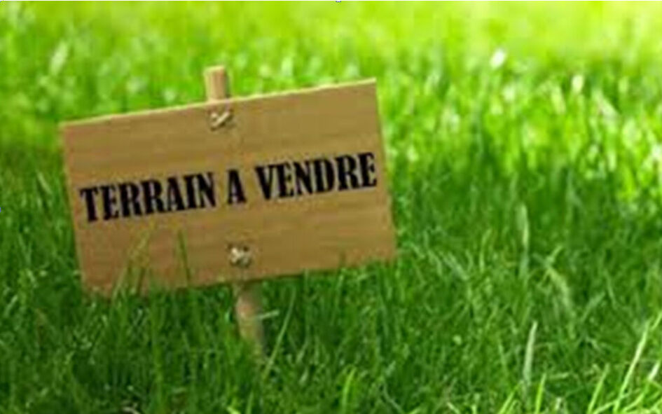 Terrain SAINT CYR EN VAL (45590) 1638.00 m²