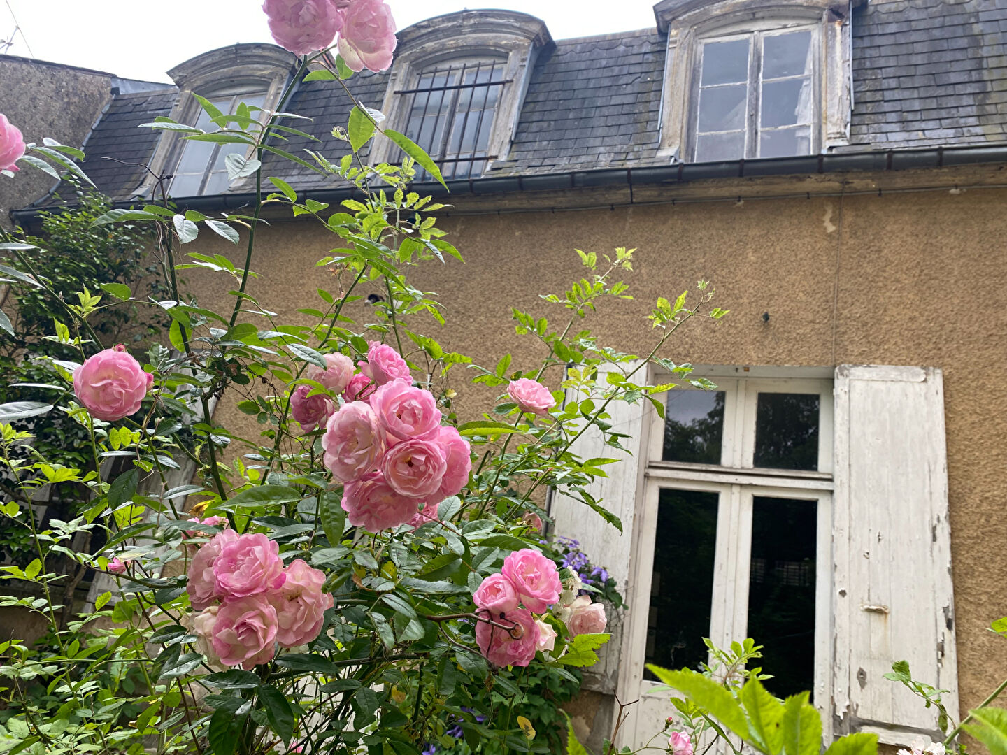 Maison SAINT JEAN DE BRAYE (45800) 8 pièces 251.75 m²