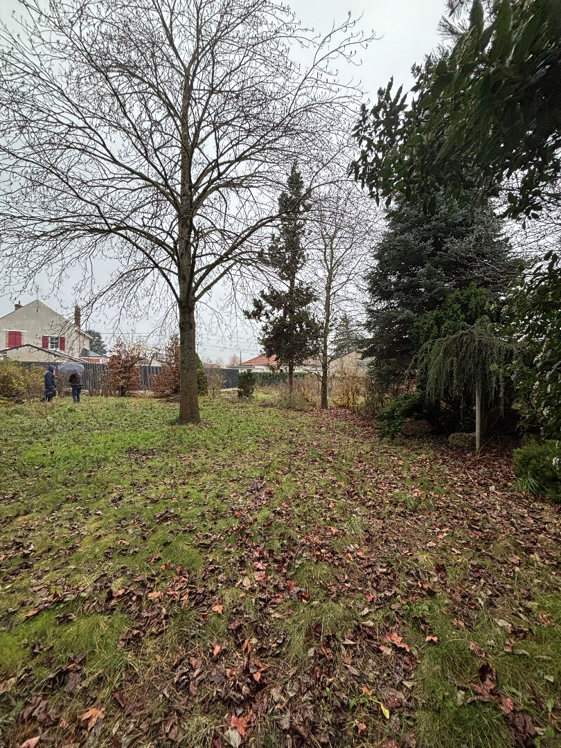 Terrain SAINT JEAN DE BRAYE (45800) 1265.00 m²
