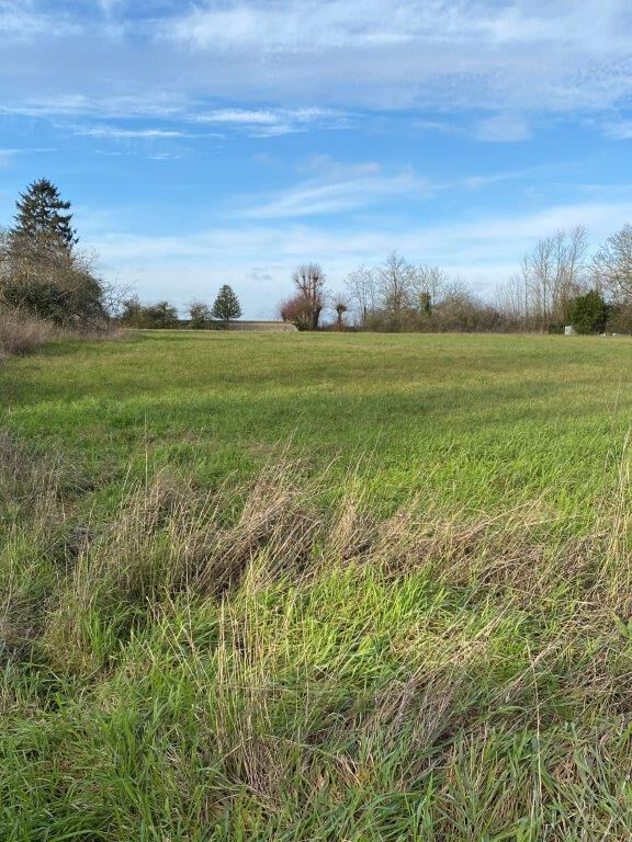 Terrain MONTIGNY (45170) 2444.00 m²