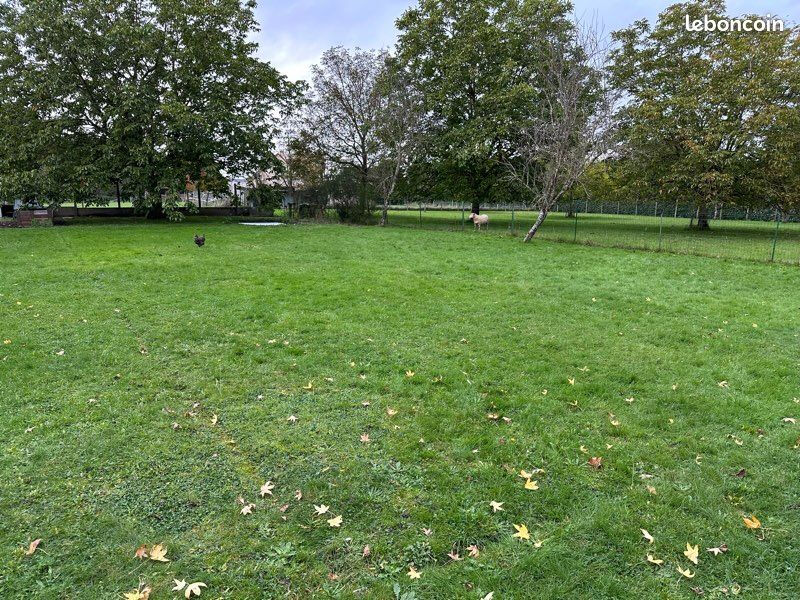 Terrain TRAINOU (45470) 557.00 m²