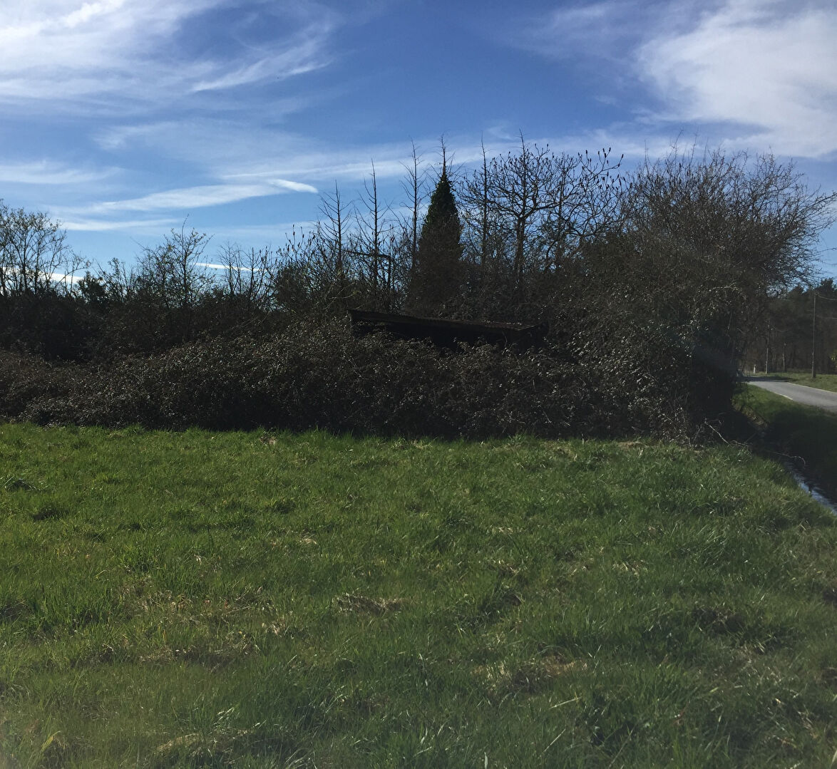 Terrain CHATENOY (45260) 6048.00 m²