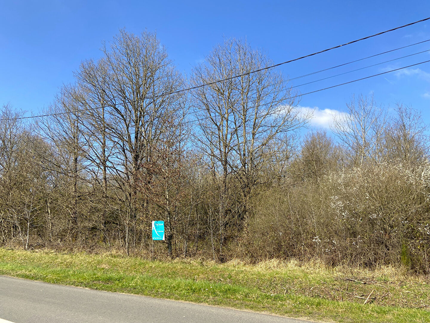 Terrain VITRY AUX LOGES (45530) 3334.00 m²