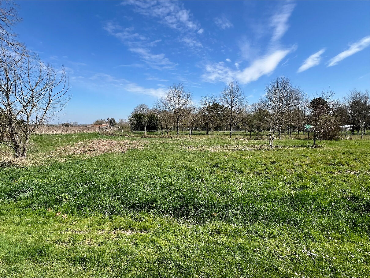 Terrain VRIGNY (45300) 601.00 m&sup2;