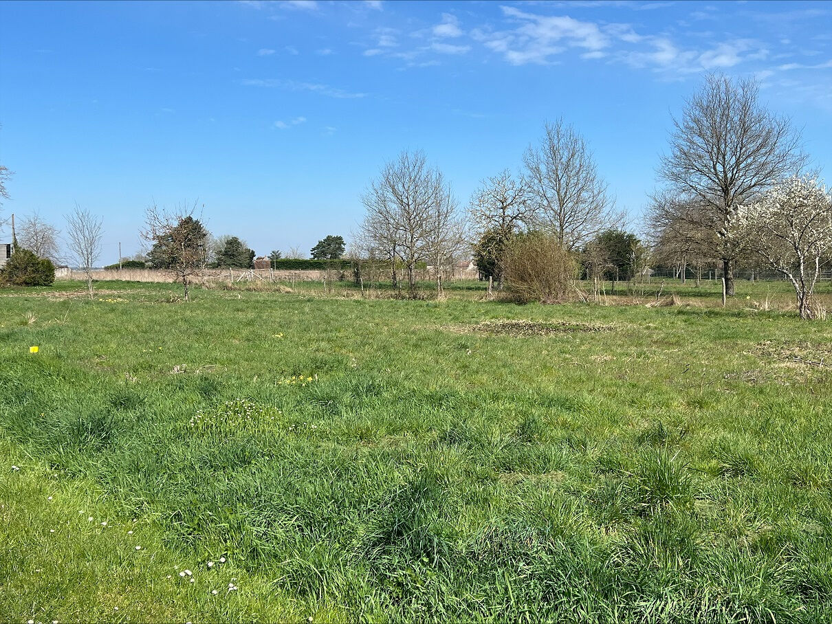 Terrain VRIGNY (45300) 534.00 m&sup2;